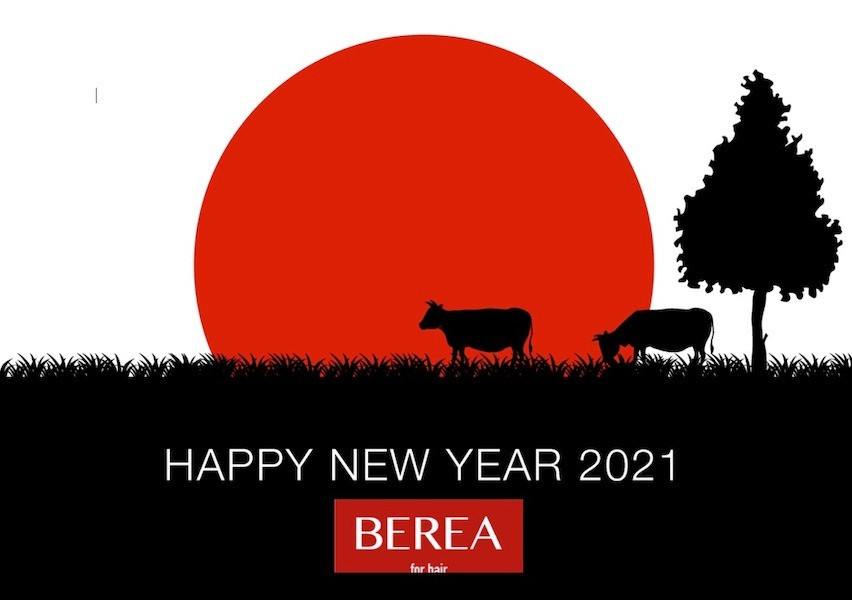 2021謹賀新年！姫路市の美容院BEREA(ベレア)はお客様のキレイを叶える美容室／ヘアサロン